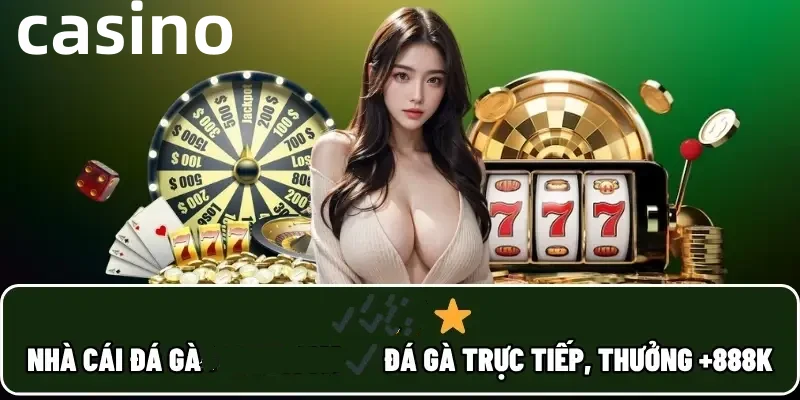 55win